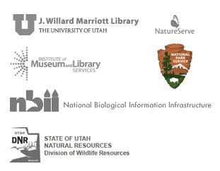 sponsor logos: University of Utah, Nature Serve, Institute of Museum and Library Services, National Biological Information Infrastructure, and State of Utah Natural Resources