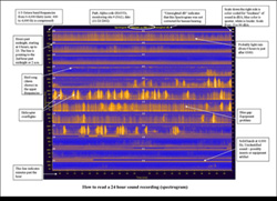 annotated spectrogram