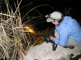 Conservation biologist Dana Drake spots a frog during a survey