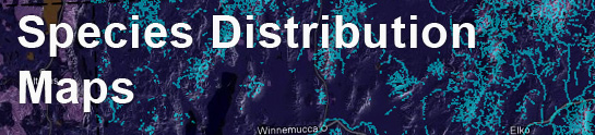 species distribution maps