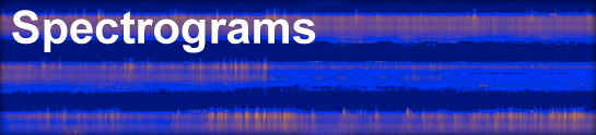 Spectrograms Collection